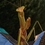 eddie_garmon1